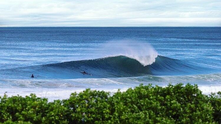 Que significa el pico en la jerga del surf