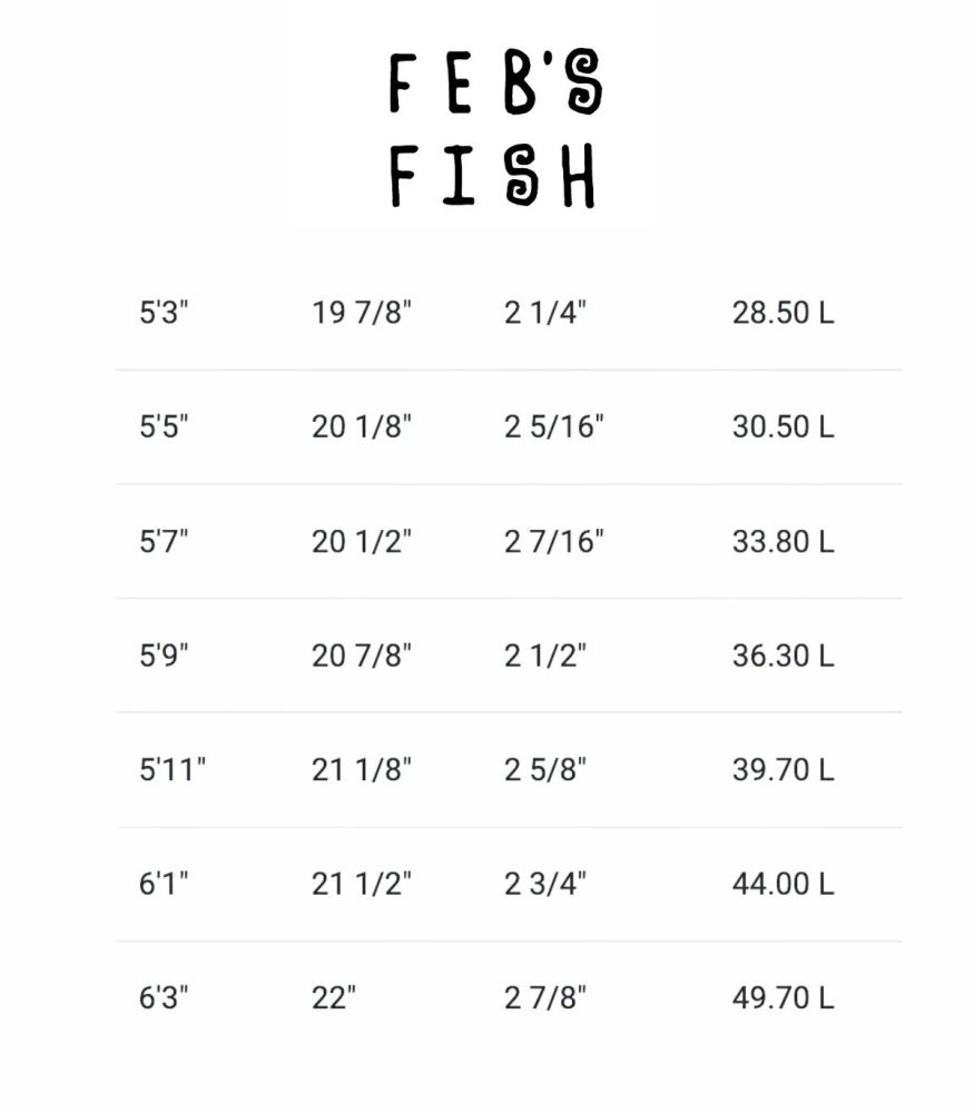 Feb’s Fish Review: El nuevo Fish de Michael February - Core Surfing Blog